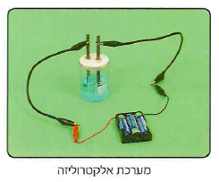 (בספר איור, היעזר במנחה)